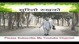 “सुरिलो रूखको” Surilo Rukh | New Nepali Song | Phanindra Subedee