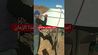 اصعب معاناة في هذا الزمان