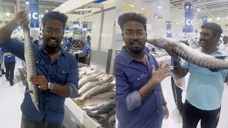 Waterfront Fish Market in Dubai #dubai #funny #entertainment #tamil #fish #world | Chill with Jagan