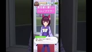 【ウマ娘】負けたらニシノフラワーたんに何かしてもらえるらしい～ウマ娘 プリティーダービー～【プレイ動画】