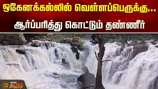 ஒகேனக்கல்லில் வெள்ளப்பெருக்கு...ஆர்ப்பரித்து கொட்டும் தண்ணீர் | NewsTamil24x7 | Hogenakkal Flood