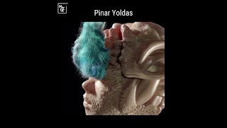 Pinar Yoldas Live on MoCDA