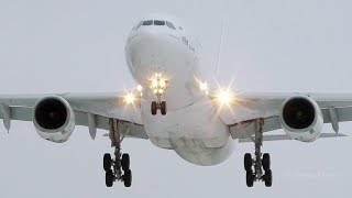 I-Fly Airbus A330 beautiful winter landing over the snowy field.