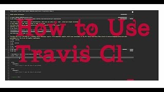 How to Use Travis CI