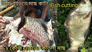 বিয়ে বাড়ির কাতলা মাছ কাটা /        ১২..কেজি ওজনের কাতলা মাছ / Fish cutting of village /