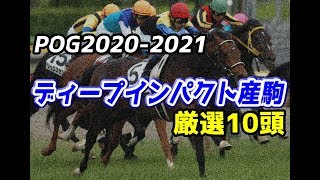 【競馬】POG2020-2021 ディープインパクト産駒厳選10頭