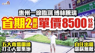 自住出租堪稱無敵【惠州一線臨深 | 博林騰瑞】首期2萬元單價8500蚊起 | 五大商圈圍繞打工人聚集地【寰宇筍盤 | 上市公司附屬機構】惠州樓盤 大灣區置業 投資大灣區 粵港澳大灣區