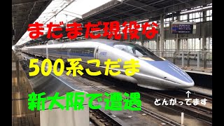 500系こだま号に遭遇　山陽新幹線