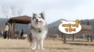 [NOW 강원] 영월에서 댕댕트레킹 / 강원매거진7 / G1방송 / 20231215