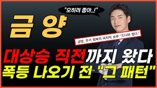 🔴금양, [긴급] 유상증자? 괜찮아🔥 기대해도 될만한 '이 패턴' 뭐냐면요