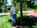 The Lawn Ranger, how to mulch tree rings