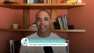 How to Use the Weasy Smart Potty for Dogs | Training Guide by a Professional
