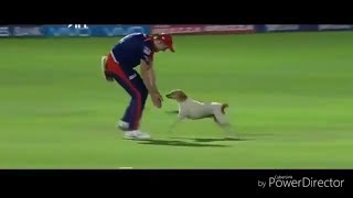 Top 10 Funny Animal Attacks On Cricket Players in Cricket History | latest Cricket Funny 2017 - 2018