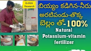 బియ్యం కడిగిన నీరు-అరటి తొక్క -బెల్లం తో 100% Natural Potassium -Vitamin fertilizer/by Dr.RSS.