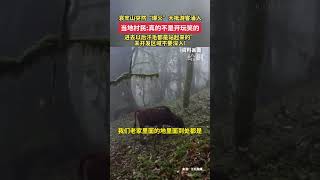 哀牢山突然“爆火”大批游客涌入當 當地村民真的不是開玩笑的進去以后汗毛都是站起來的”未開發區域不要深入!