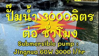 รีวิวปั๊มน้ำ JINGNUO 3,000 ลิตร  60 วัตต์ ใช้สำหรับตู้ปลาหรือบ่อกักโรคปลาคาร์ฟ