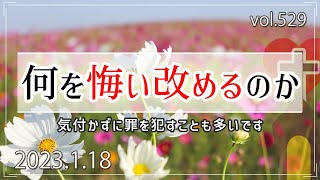 【悔い改め】何を悔い改めるのか：ローマ2章