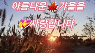 #가을노래배우기#조약돌(원곡자🎵박상규)가사🎸악보🎸기타코드#Learn autumn songs#shingle#Lyrics🎸sheet music🎸guitar chords#