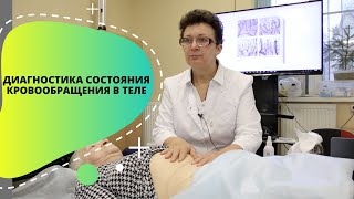 ДИАГНОСТИКА, СОСТОЯНИЯ КРОВООБРАЩЕНИЯ В ТЕЛЕ.