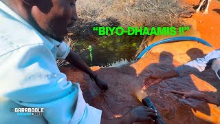 HABKA LOO DHAAMIYO BIYAHA XILIGA AAN ROOB KU FILAN KA DI,IN HAWDKA ( BIYO-DHAAMIS ).