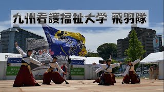 240519 黒崎よさこい祭り2024 九州看護福祉大学 飛羽隊