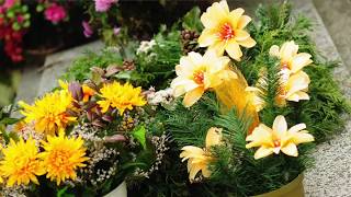 Top 10 Best Funeral Homes Riverside CA