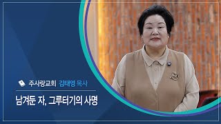 신앙에세이 | 남겨둔 자, 그루터기의 사명 - 김태영 목사(주사랑교회)