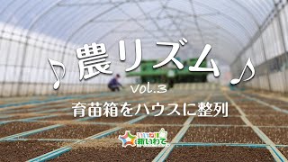 育苗箱をハウスに整列【農リズム】vol.3