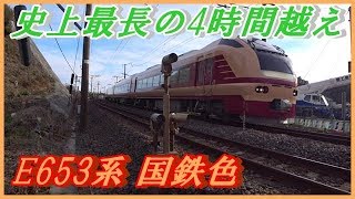 【最長4時間越え】常磐線 快速 成田山初詣常磐号 成田行き E653系国鉄色 泉～植田間　通過　【0112踏切#01】