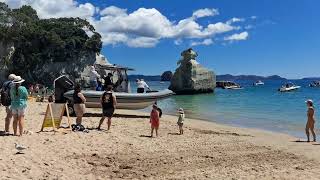 Cathedral Cave Beach Transport 40 NZ$ einfacher Weg 07.01.2025