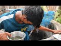 catching colour fishes in well தமிழில் pets paradise