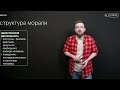 Мораль область духовной культуры за 20 минут Обществознание с Алексеем Кулагиным