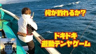 何が釣れるか？ドキドキ遊動テンヤゲーム🎣