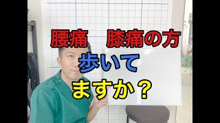 「東広島市　腰痛　ヒザ痛」みなさん歩いていますか？