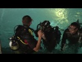 ’47 Meters Down’ Filming Underwater Interview