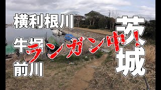 【ブラックバス釣り　2023年3月中旬　横利根牛堀前川】初バスは、おかっぱりで？ランガン中！