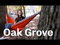 Enjoy the Oak Grove