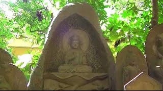 西光寺　東京都板橋区大谷口2-8-7