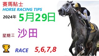 HKJC「賽馬貼士」🐴 2024  年 5  月 29  日 沙田 🐴 香港賽馬貼士 HONG KONG HORSE RACING TIPS 🐴 RACE  5 6 7  8