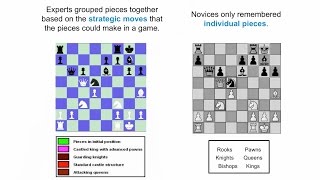 (NGSS) Understanding Crosscutting Concepts: The Chess Metaphor | California Academy of Sciences