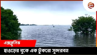 পাগনার হাওড়, যেন প্রকৃতির এক অনন্য আয়োজন