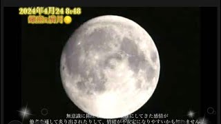 2024年4月24日蠍座満月Ru-miさんの星読み🌟