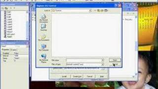 Delphi VB ActiveX install
