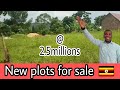 Cheap plots for sale in Uganda.