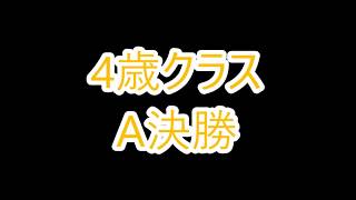 2018.5.12 RCS2018 第5戦 4歳クラスA決勝