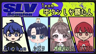 SLV CUP　練習！【スプラトゥーン3/AKITO/あきと】