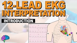 Introduction to Concepts of 12-Lead EKG Interpretation