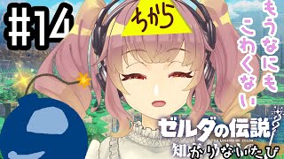 なるべく知恵を借りない知恵かり #14【ゼルダの伝説 知恵のかりもの】