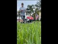 How To Mow Overgrown Lawn