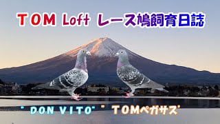 25 01 04（土）東京西地区連盟 春レース日程